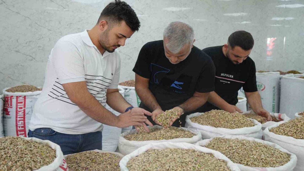 ‘Yeşil altın’a izin çıktı, fiyatlar ve satışlar düştü!