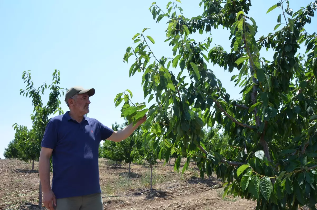 Eskişehir’de 606 Çiftçiye 55 Milyon Lira Destek