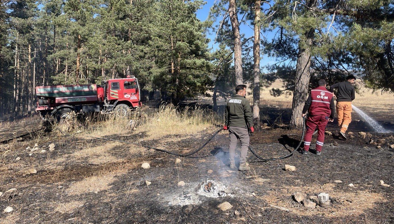 Sarıkamış’ta çıkan orman yangınında yaklaşık 1 hektar alan zarar gördü