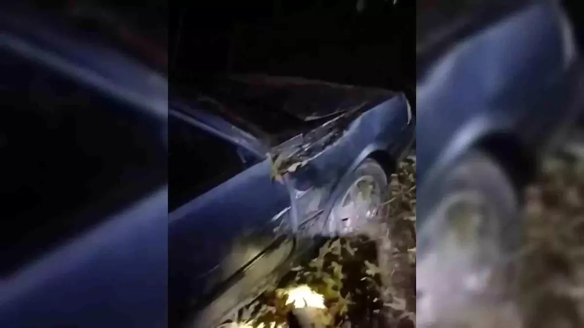 Sinop’ta Şarampole Yuvarlanan Otomobilde 3 Yaralı