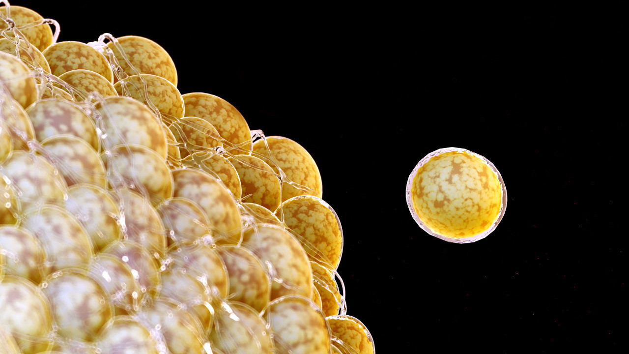 Tek bir hücrenin ağırlığı ölçülebilir mi, ölçülürse nasıl ölçülür?