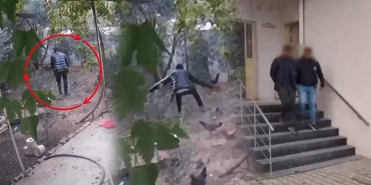 Kümes kümes gezip tavuk çalan şüpheli tutuklandı: Hırsızlık anları kamerada