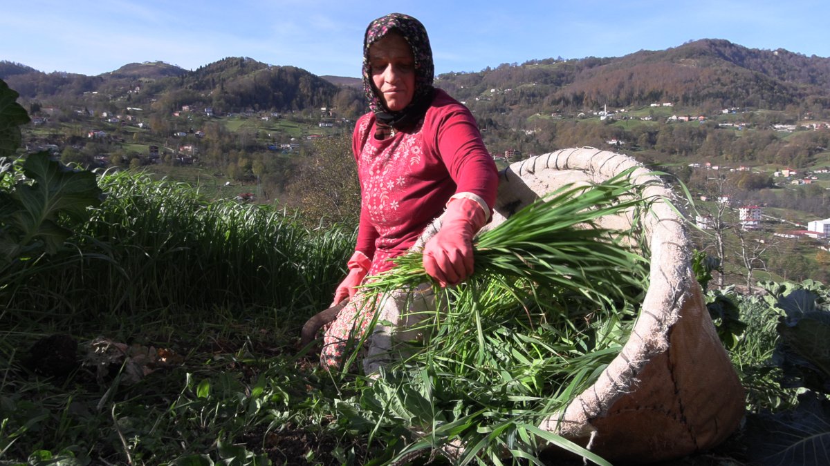 Trabzon’da kadınlar sabah ot biçiyor, akşam maça gidiyor