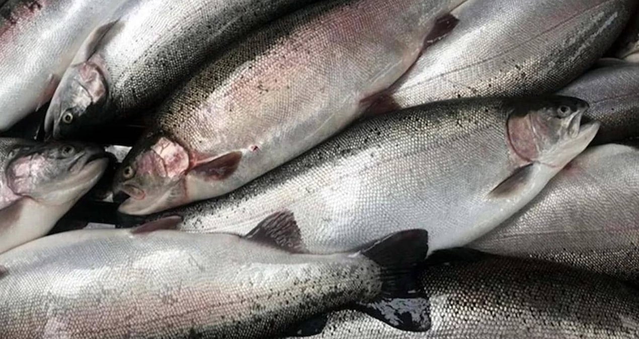 34 ülke sıraya girdi: Türkiye’den kapış kapış aldılar