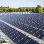 topragin-dijital-zirhi-cinin-algoritmalari-dunyayi-doyurabilir-mi-xvK7E689