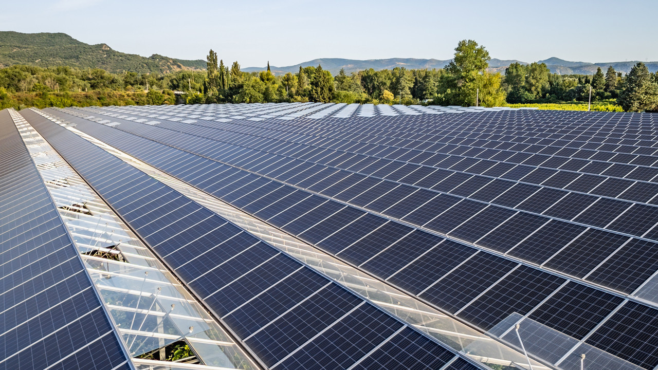 Dijital Tarım Devrimi: Çin’in İnovasyonları Küresel Gıda Sorununu Çözebilir mi?