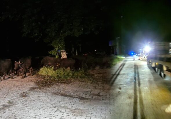 tokatta-bir-koy-tahliye-ediliyor-JbOL1Hwz