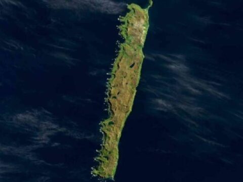 75 yıl boyunca sessizce izlendi: Fok ve penguenlerin yurdu olan ada için acil çağrı