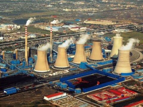 Dünyanın kralı oldular: Türkiye’nin 32 katına çıktılar