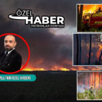 Haber gorseli